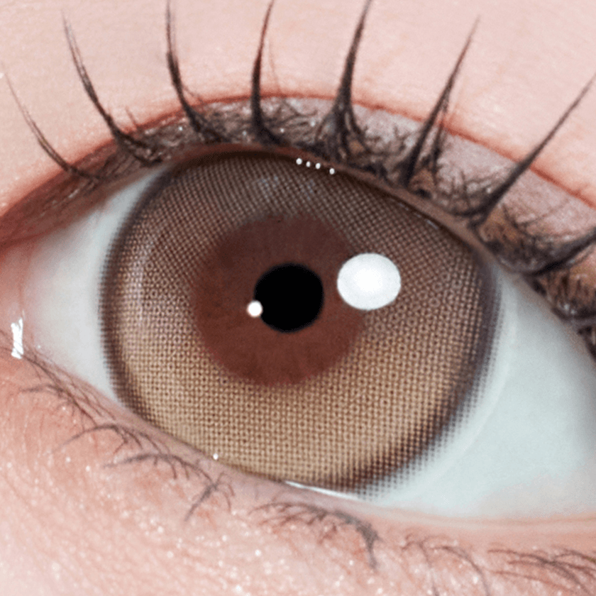 134_토릭비브벤티1D 오트밀3.png