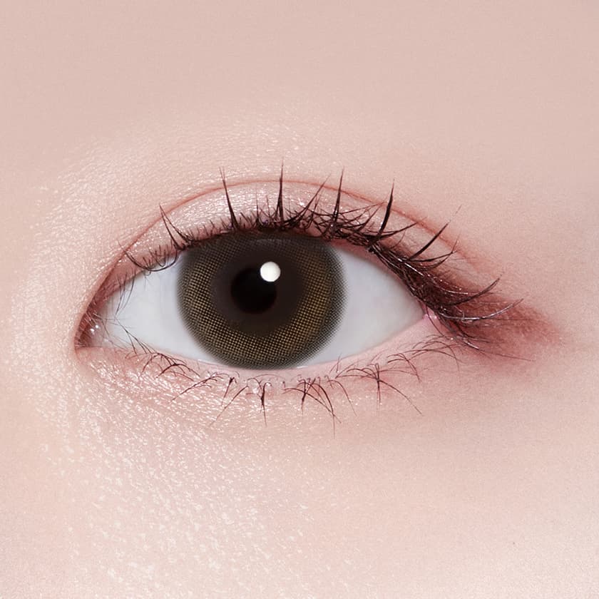 라이트 우쥬 브라운 (1P+1P)