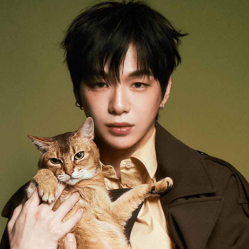 MUSE LIKE - Meow Lime (10P)