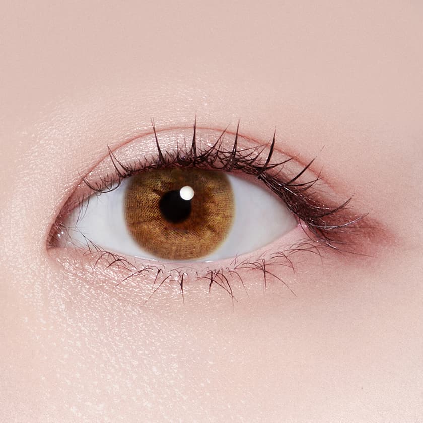 리썸 브라운 (2P)