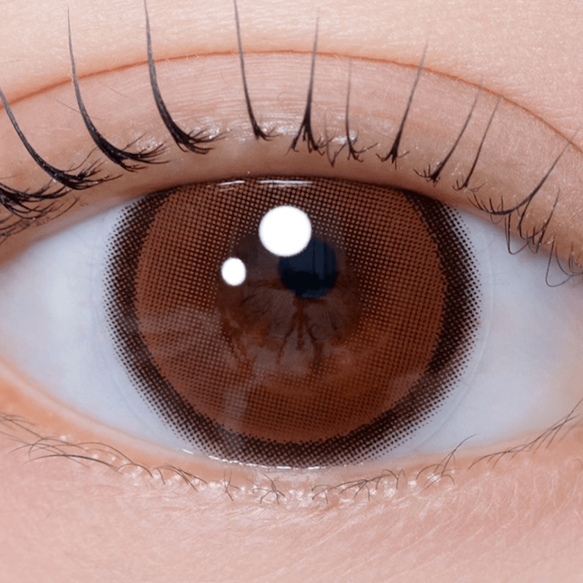 3 코비체스트넛 1D.png